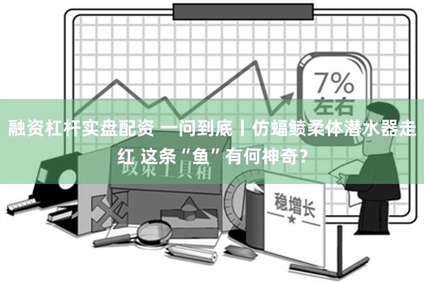 融资杠杆实盘配资 一问到底丨仿蝠鲼柔体潜水器走红 这条“鱼”有何神奇？