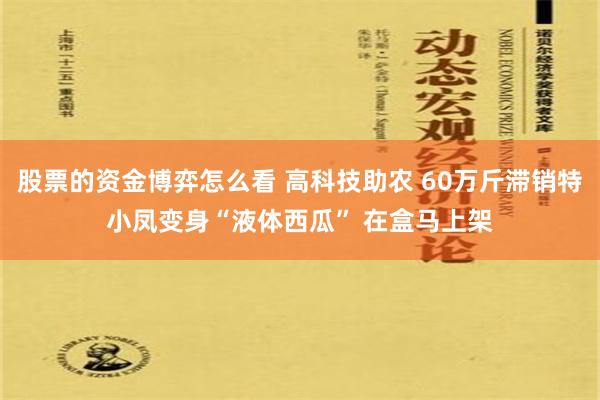 股票的资金博弈怎么看 高科技助农 60万斤滞销特小凤变身“液体西瓜” 在盒马上架