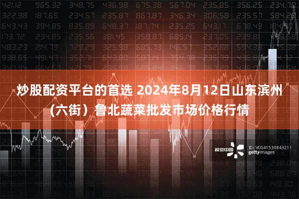 炒股配资平台的首选 2024年8月12日山东滨州(六街）鲁北蔬菜批发市场价格行情