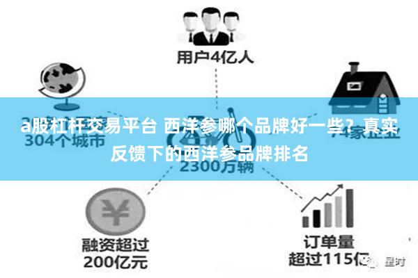 a股杠杆交易平台 西洋参哪个品牌好一些？真实反馈下的西洋参品牌排名