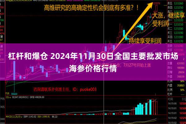 杠杆和爆仓 2024年11月30日全国主要批发市场海参价格行情