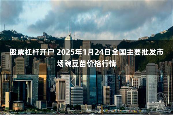 股票杠杆开户 2025年1月24日全国主要批发市场豌豆苗价格行情