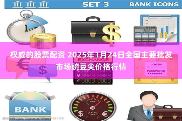 权威的股票配资 2025年1月24日全国主要批发市场豌豆尖价格行情