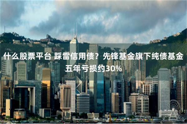 什么股票平台 踩雷信用债？先锋基金旗下纯债基金五年亏损约30%