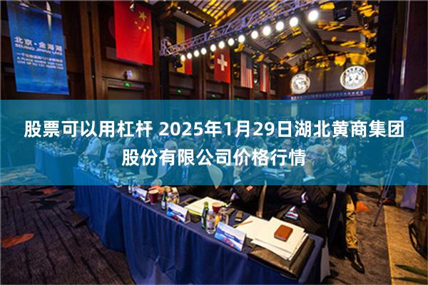 股票可以用杠杆 2025年1月29日湖北黄商集团股份有限公司价格行情